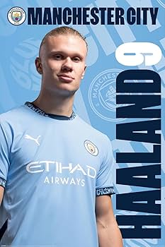 25/26 シーズン-マンチェスター・シティ PL仕様HAALAND Lサイズ Men's Replica Puma Haaland Manchester City Home Jersey 25/26